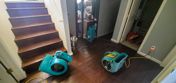 Best Water damage restoration near me  in Saranac, MI