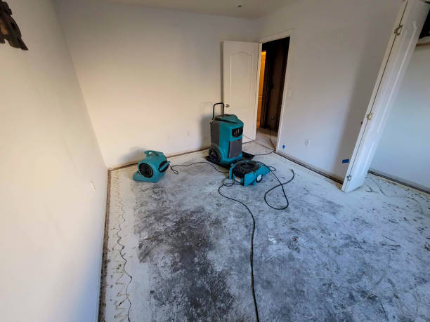 Water damage restoration experts in MI