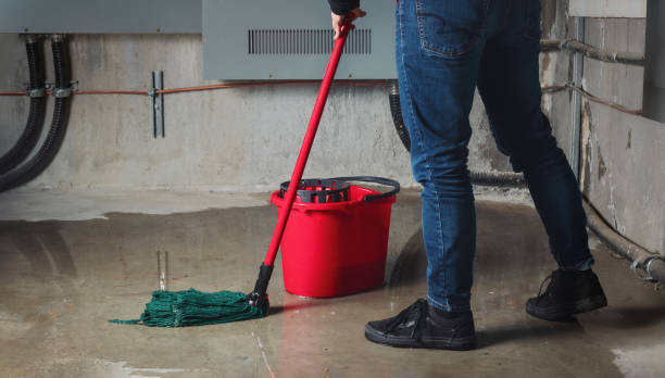 Best Professional water damage repair  in Saranac, MI