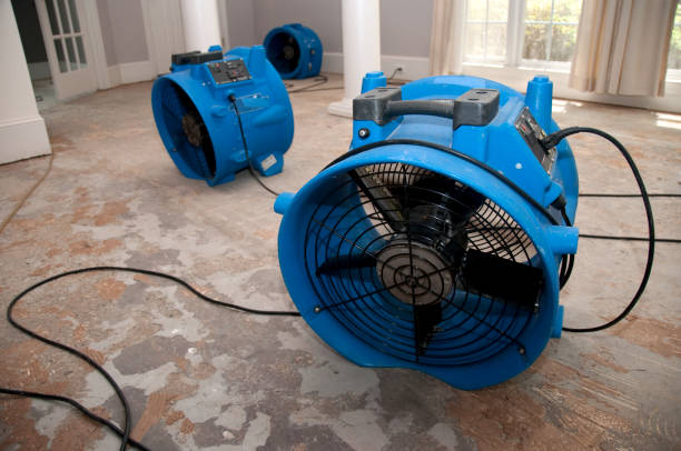  Saranac, MI Water damage restoration Pros