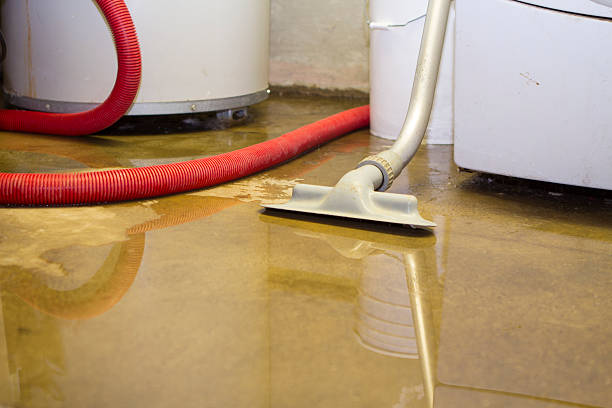 Best Basement water damage restoration  in Saranac, MI