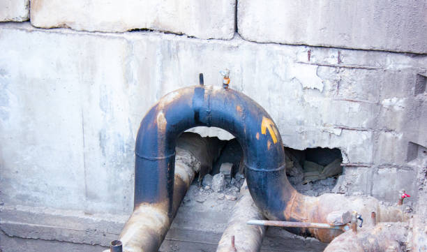 Best Residential water damage restoration  in Saranac, MI