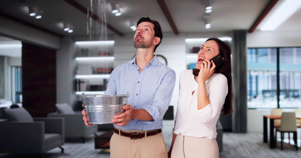 Best Water damage cleanup near me  in Saranac, MI
