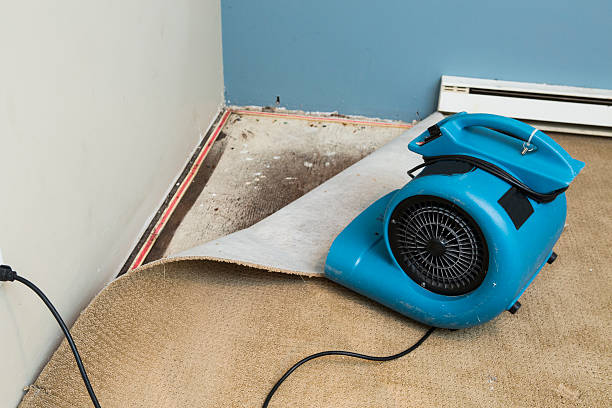 Best Water damage contractors near me  in Saranac, MI
